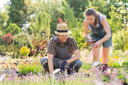 Stump grinding service for a backyard in Tooting