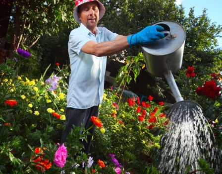Balanced tree pruning work improving light in a compact urban garden