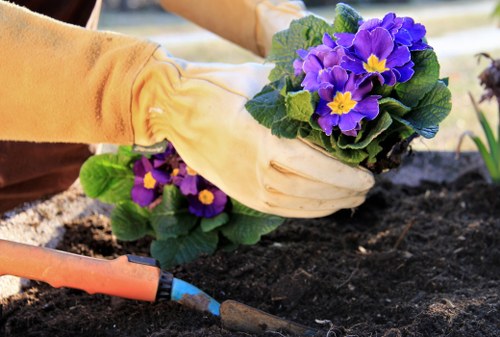 Public liability insurance and professional tree surgery planning